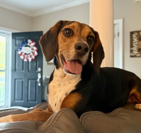 Zoey