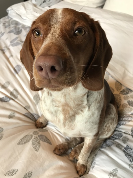 Ella