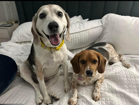 Lucy and Dory 