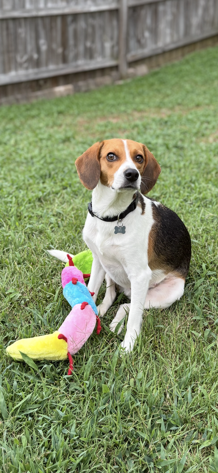 Mo