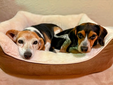 Gutter (on the right, with his sister Sadie)