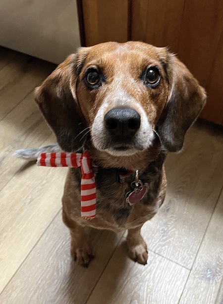 Duncan