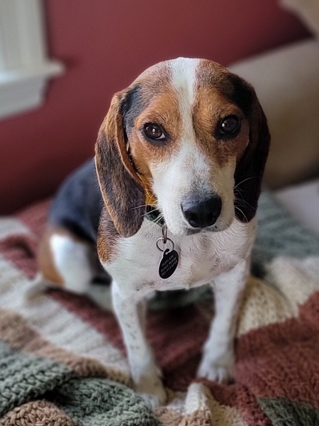 Benny