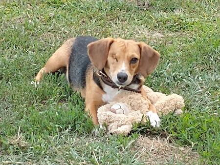 Abbey