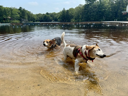 Bruiser and Marty 