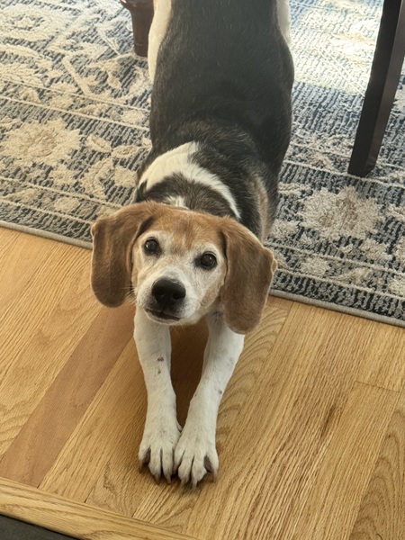 Charlie