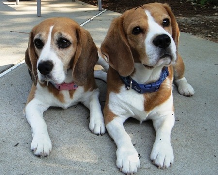 Susie & Calvin