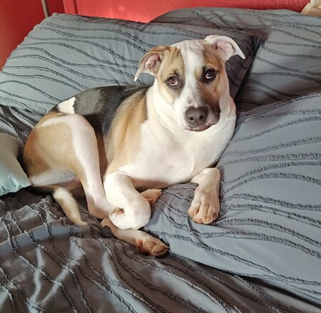 Sunnie