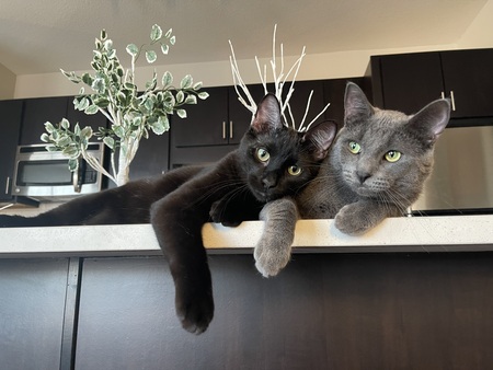 Damien & Ivan