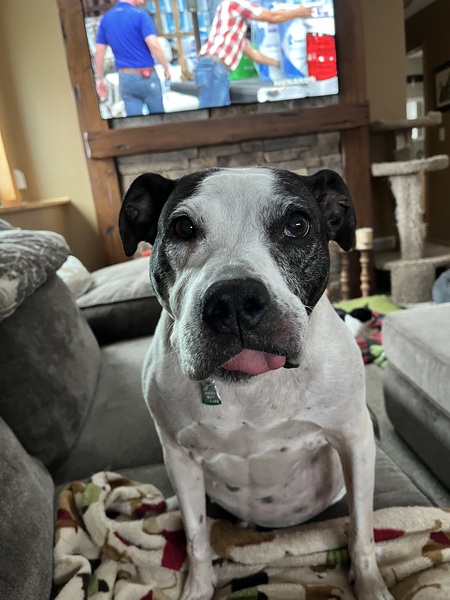 Roxy