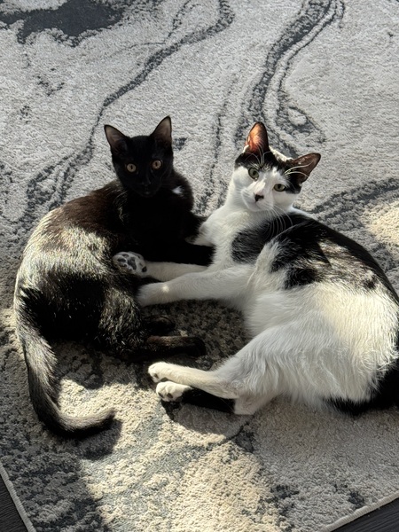 Roni & Atlas