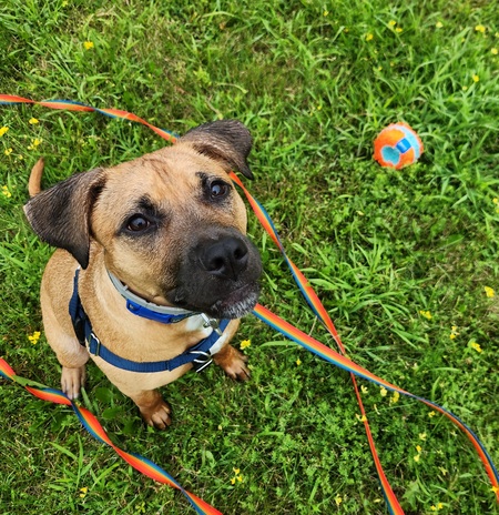 Penny