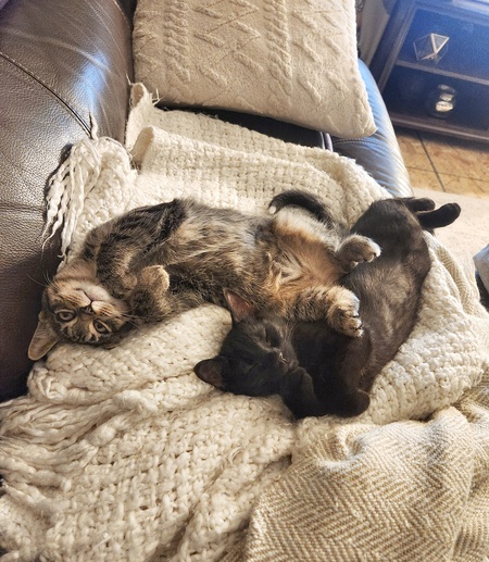 Luna and Morty