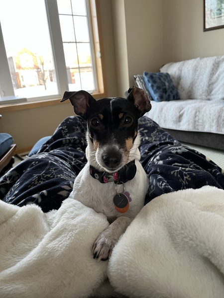 Tilly