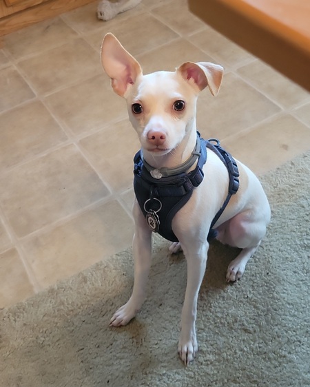 Skye