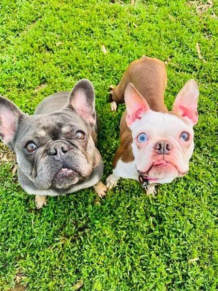 Navy June and Sage Louise 
