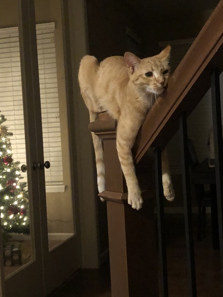 Gabby