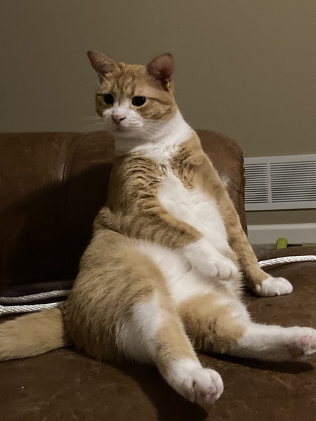 Leo