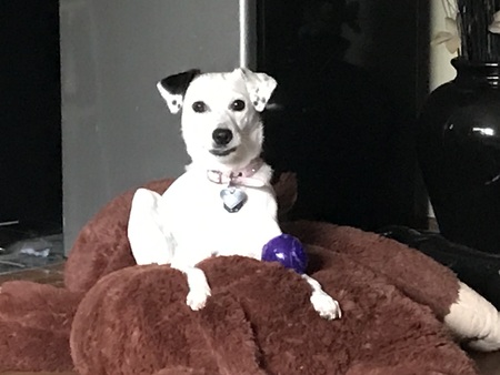Molly