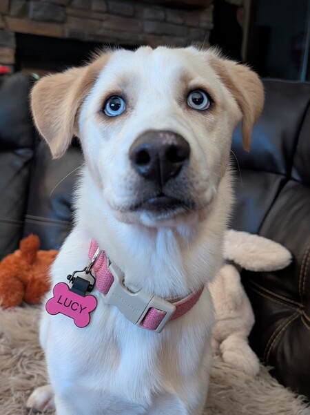 Lucy