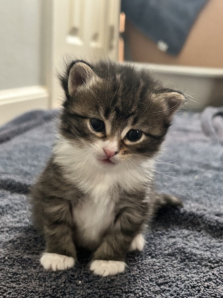 Juanita
