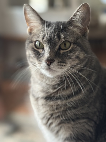 Delta