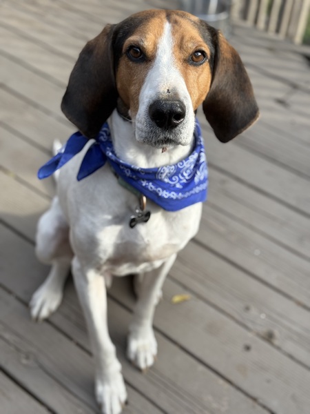 Frank