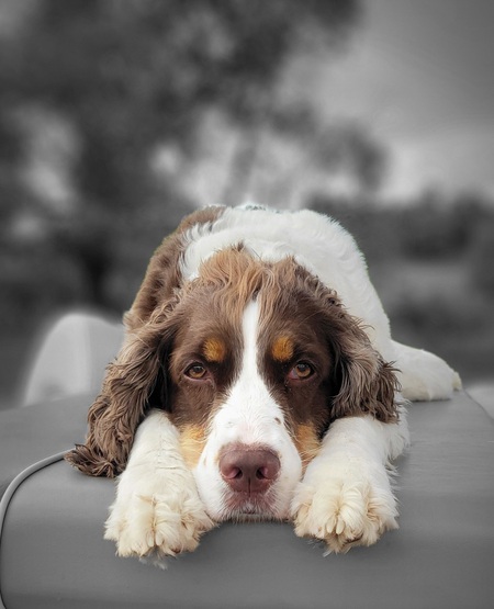 Ruby