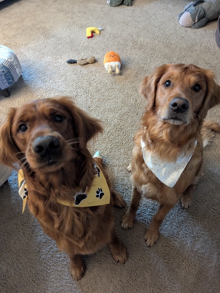Jack and Kingsley