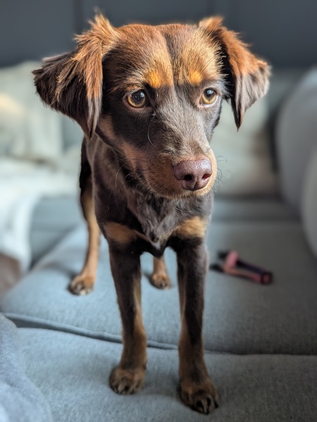 Ellie