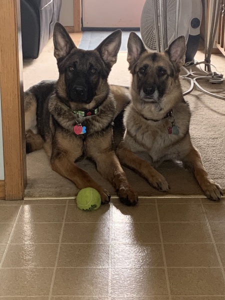 Tank & Athena