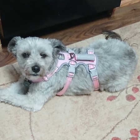 Butzie