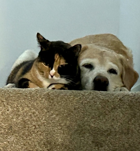 Gracie & Deacon
