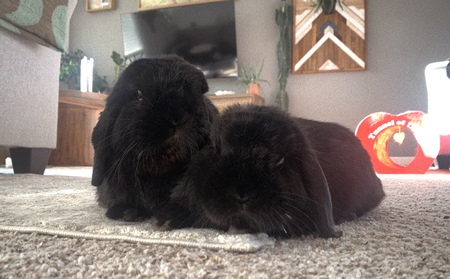 Walter & Bernard