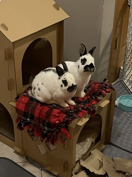 Lilly and Luca