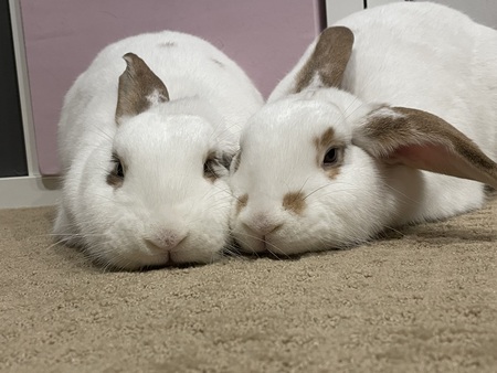 Aggie and Millie