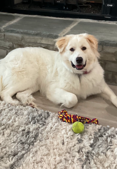 Kali