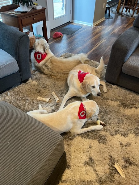 Griffin, Finn, Skye