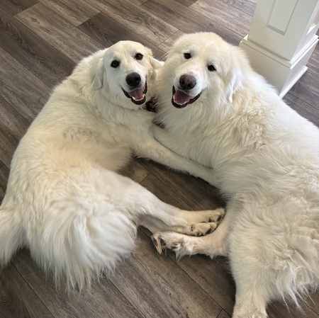 Mia and Bear