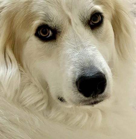 George