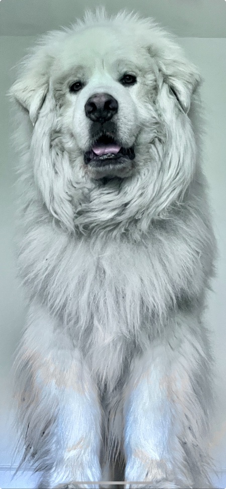 Everest