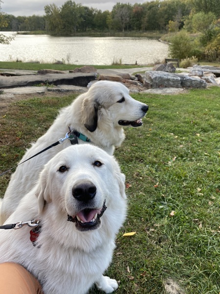 Luna and Star