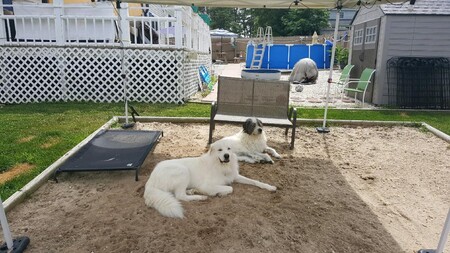 OSO & LAYLA