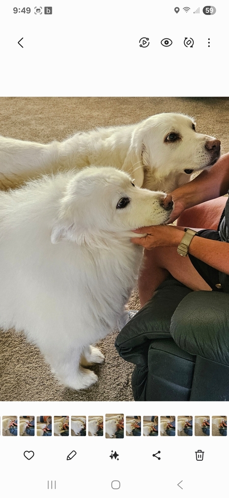 Josie and Olive