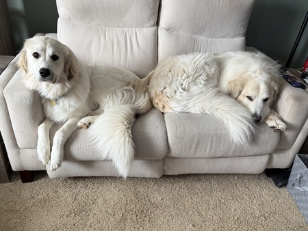 Josie and Cappy