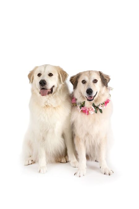 Coby and Sky