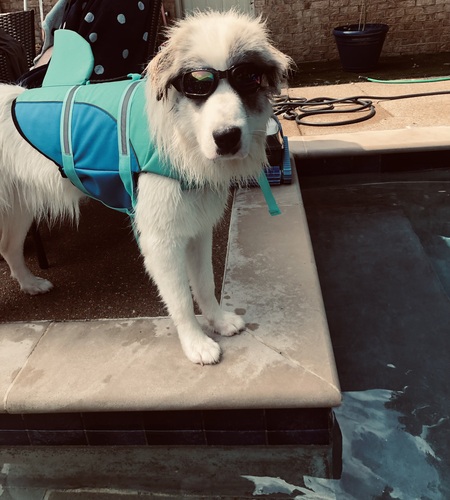 Arlo