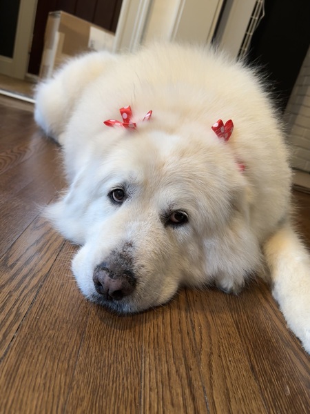 Ella