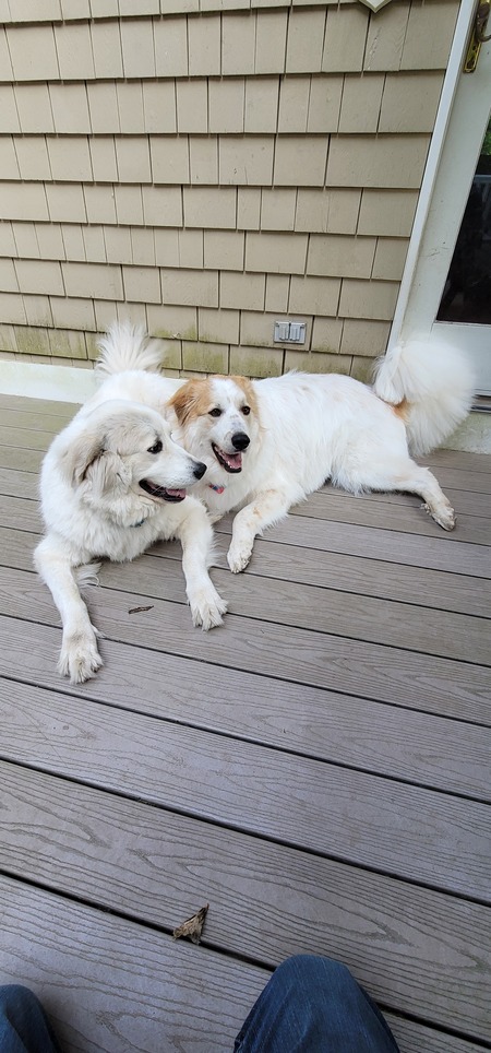 Autumn (left) and Benjamin (right)