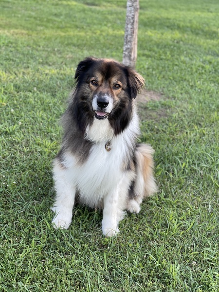 Oakley
